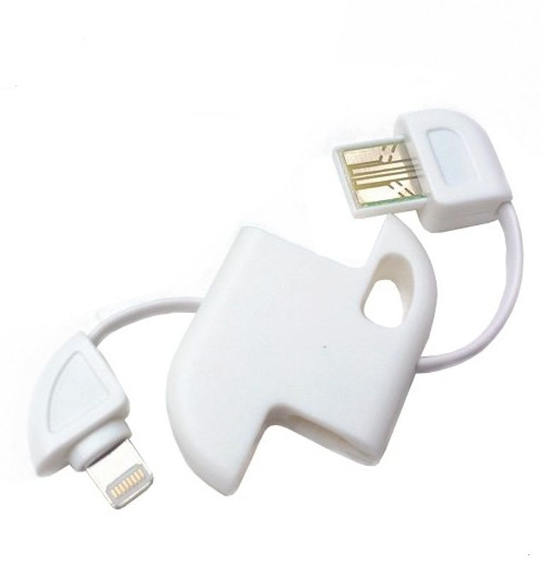 Nøkkelring USB ladekabel for iPad iPod for iPhone 5 5S 5G